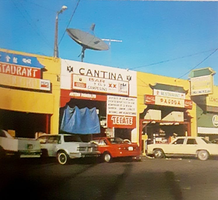 (Vol. 2) Tratado sobre la violencia de la&nbsp;mujer